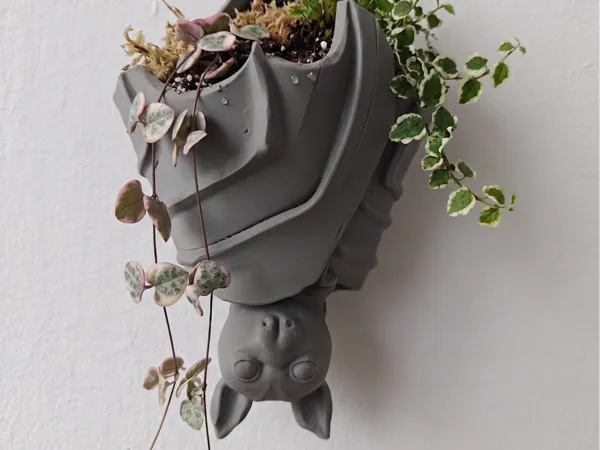 https://makerworld.bblmw.com/makerworld/model/USf9b4a200984028/design/179a1fb037469559.png