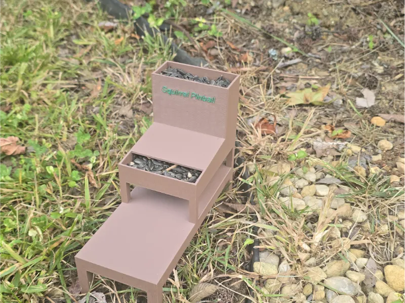 Squirrel Pinball Feeder