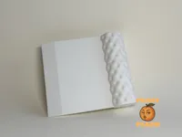 Dough scraper