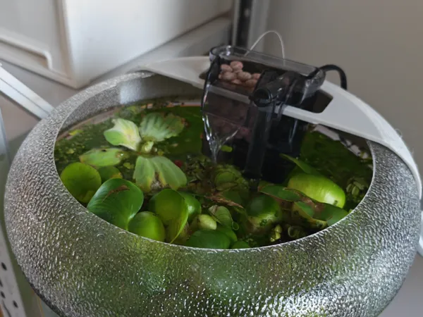 https://makerworld.bblmw.com/makerworld/model/USf9c0d3673e8bbd/design/8b2e278f04359c5c.jpg