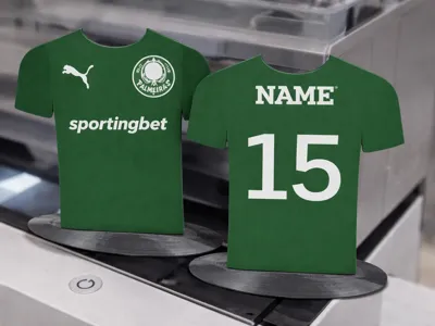 Palmeiras jersey