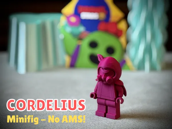 https://makerworld.bblmw.com/makerworld/model/USf9c59f6b525b50/design/42cbc6cb000f2192.png