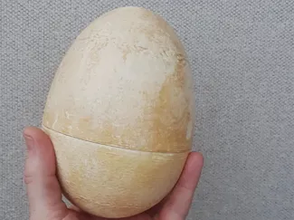 Dinosaur egg