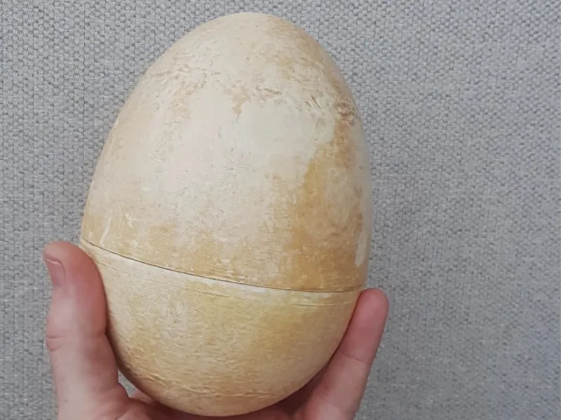 Dinosaur egg