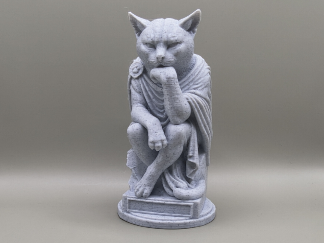 The Thinker Cat 