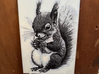 Squirrel