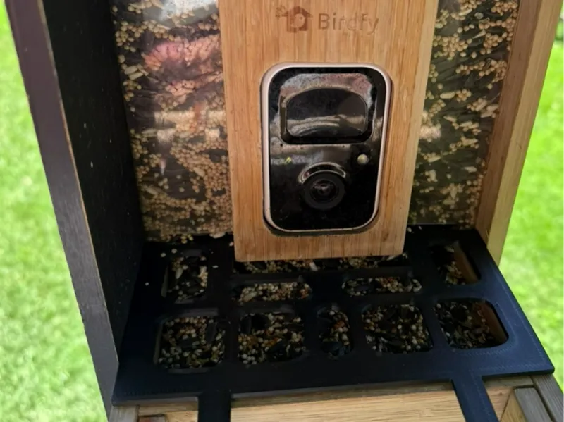 Birdfy Bamboo Mini Camera Feeder Seed Guard