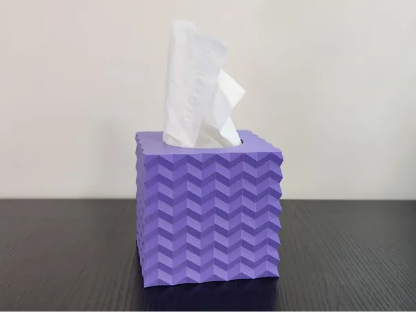 https://makerworld.bblmw.com/makerworld/model/USf9ce38337fecbe/design/2025-12-27_f2a1fe1a885dc.jpg