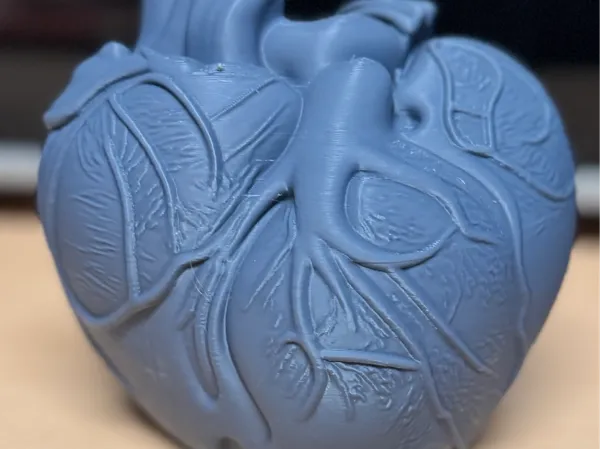 https://makerworld.bblmw.com/makerworld/model/USf9ce6d8dc83a7/design/2025-08-11_06e181f360d348.jpg