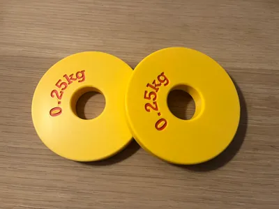 Fractional weight plate, 0.25kg, for 1 inch bar