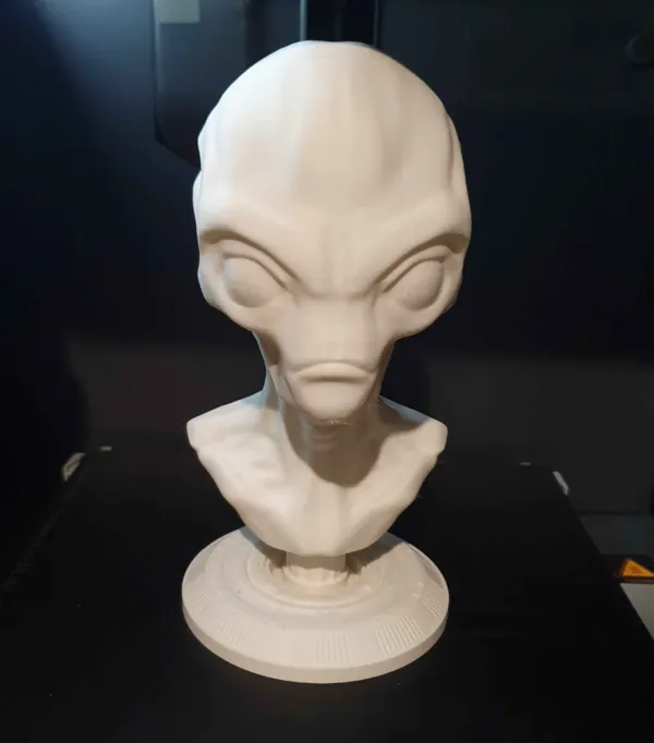 https://makerworld.bblmw.com/makerworld/model/USf9d45730cfaef2/design/2024-12-09_1f699191f1903.jpg