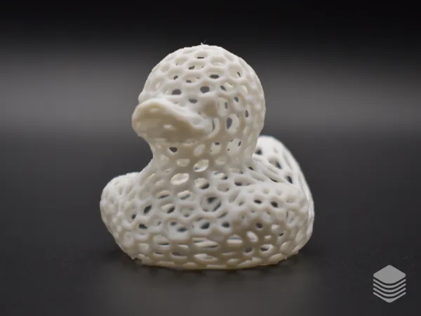 https://makerworld.bblmw.com/makerworld/model/USf9d77e097a1152/design/2025-01-17_e81b64250bc7.png