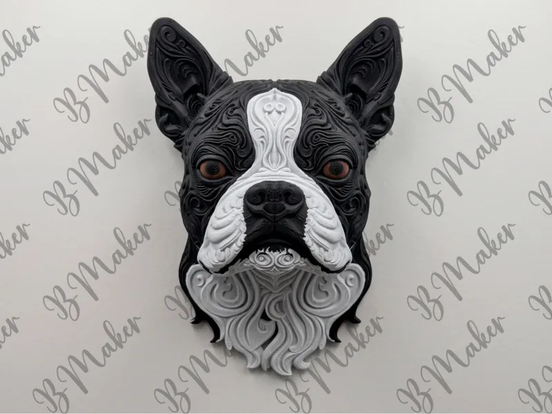 Boston terrier - Arte de pared