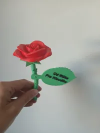 Rose éternelle avec message du cœur — photo 4