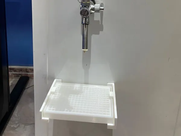 Plateau égouttoir à bière amovible