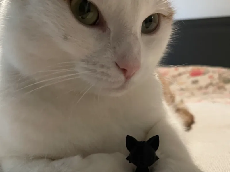 lucky cat 