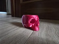 A1 mini piatto intero
