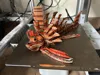 A1mini 0.12mm layer, 2 walls, 5% infill