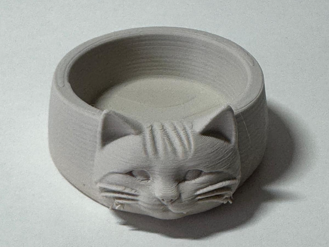 Katzen Schussel