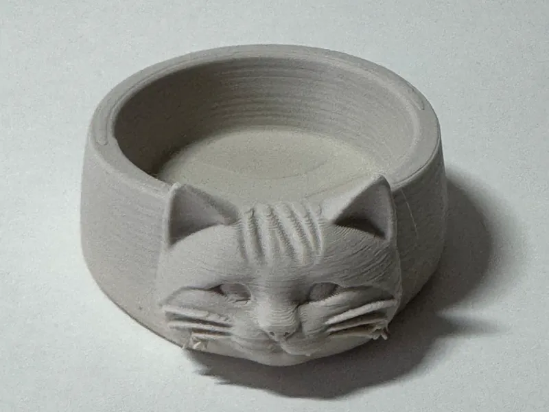 Katzen Schussel