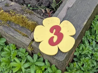Numbered Flower
