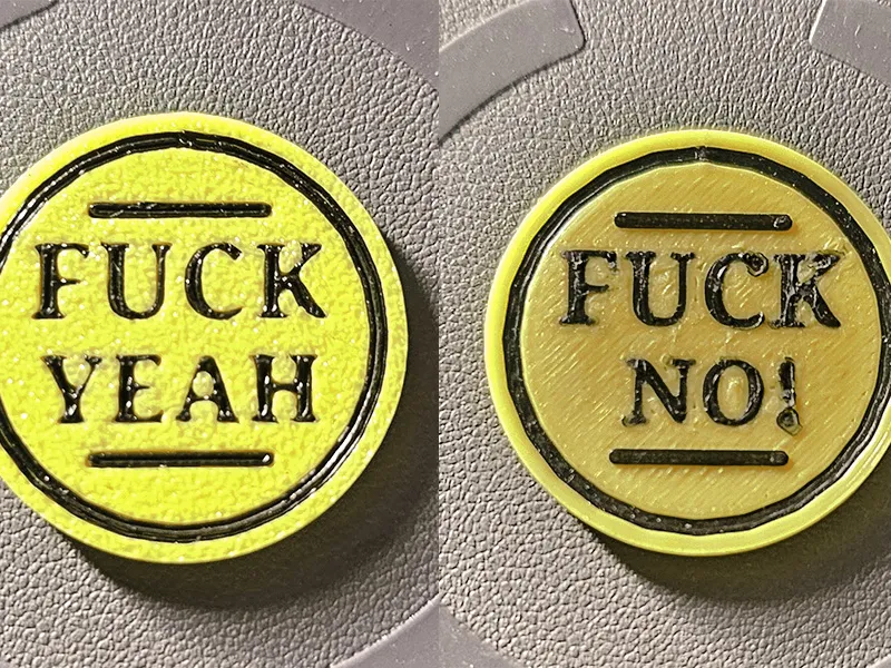 F_ing Decisions Coin - Yes No Coin