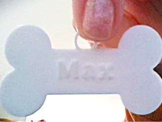 Dog Name Tag