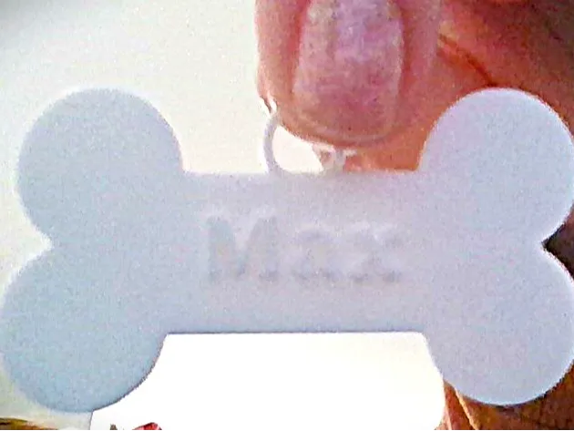 Dog Name Tag