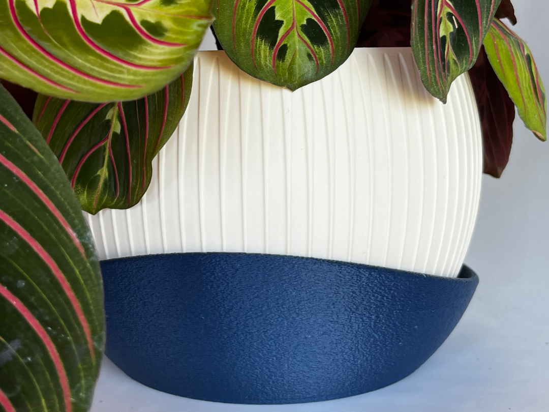 Ribbed Ellipse Planter with Matching Fuzzy Saucer 