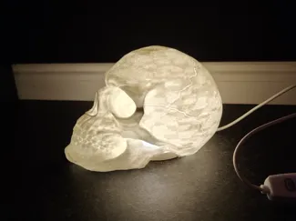 Skull Lamp (LED Lamp Kit-001)