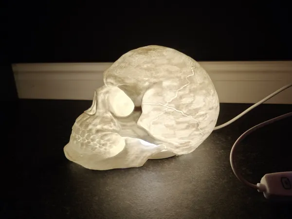 https://makerworld.bblmw.com/makerworld/model/USfa0ba2a2848c61/design/2026-01-09_7f5b994607ed08.jpg