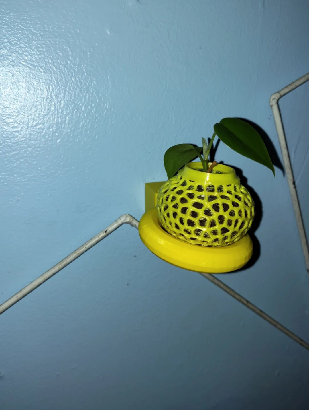 Pot de fleurs suspendu