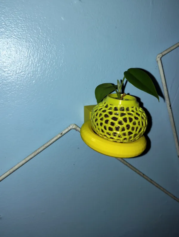 Pot de fleurs suspendu