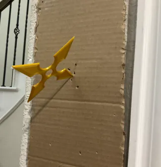 Ninja Star
