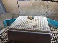 0.2mm layer, 4 walls, 15% infill