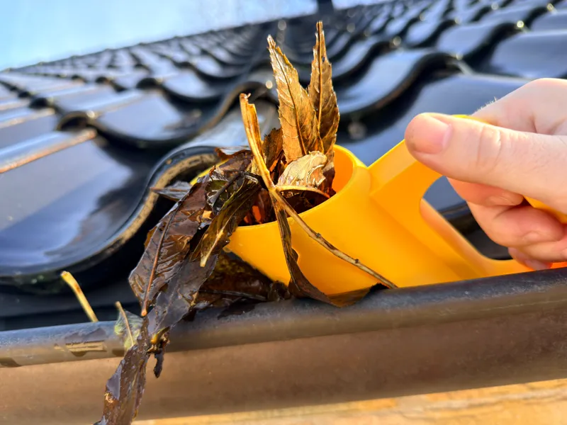 Gutter Cleaner