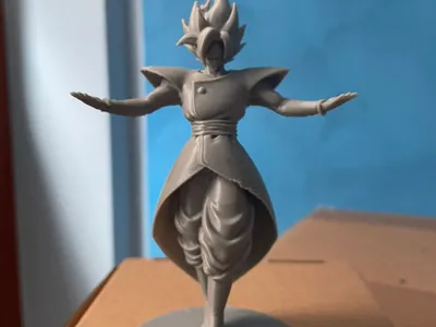 Zamasu pose