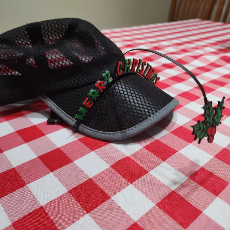 Merry Christmas with Hanging Mistletoe Brim Trim