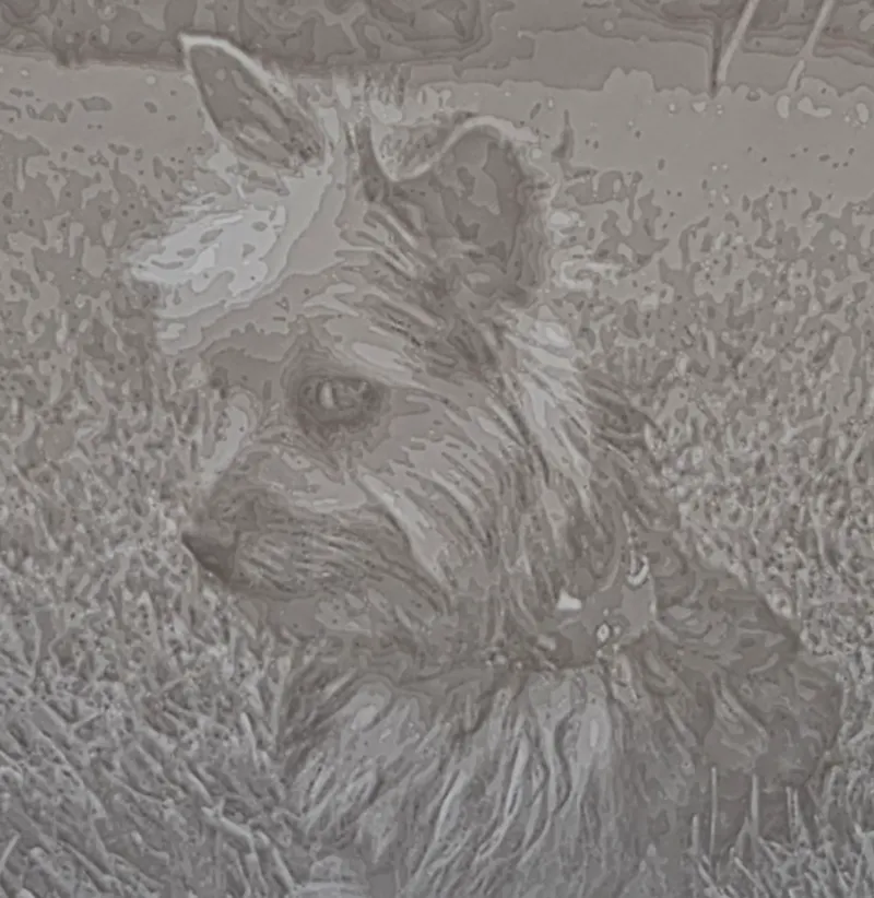 Silky Terrier Litho
