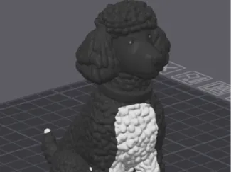 Parti Poodle