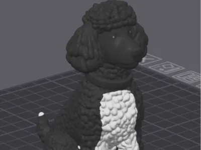 Parti Poodle