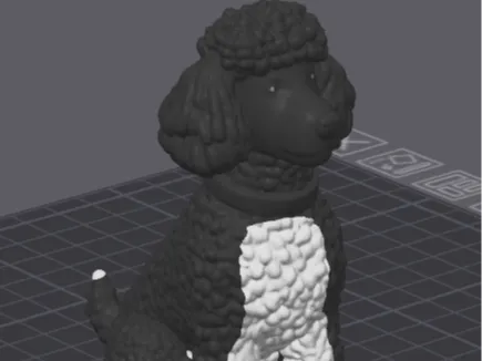 Parti Poodle