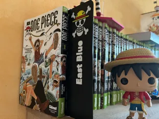 Séparateur Manga One Piece