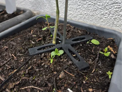 Plant Stake Holder / Spiral Stake Holder 