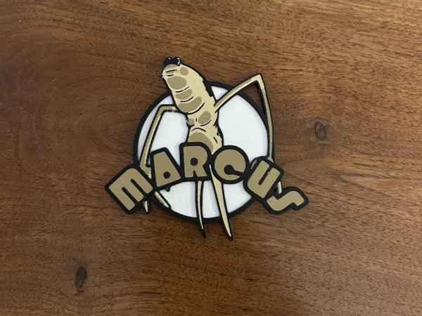 https://makerworld.bblmw.com/makerworld/model/USfa21f59190eb2d/design/29d3823ee1128eb5.jpg