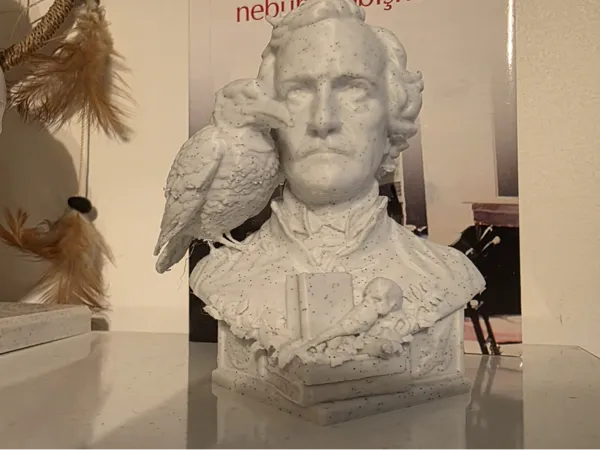 https://makerworld.bblmw.com/makerworld/model/USfa228b1e74e718/design/9f7d66e78c76fab2.jpeg