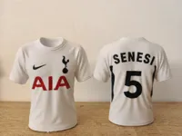 Tottenham 26-27 Senesi #5