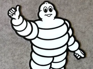 Flexi Michelin