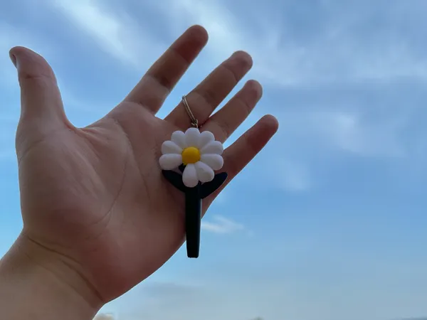 https://makerworld.bblmw.com/makerworld/model/USfa2d35f81a4f95/design/2025-06-12_c7d5e1c527d928.jpg