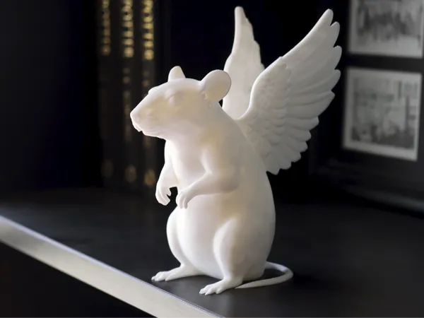 https://makerworld.bblmw.com/makerworld/model/USfa36a90d6f6d22/design/c827d72e6e44ba9b.jpg